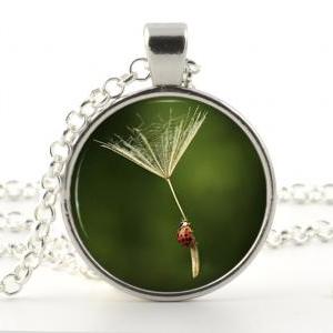 Falling Necklace - Picture Jewelry - Ladybug..